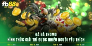Đá Gà Thomo - Hình Thức Giải Trí Được Nhiều Người Yêu Thích